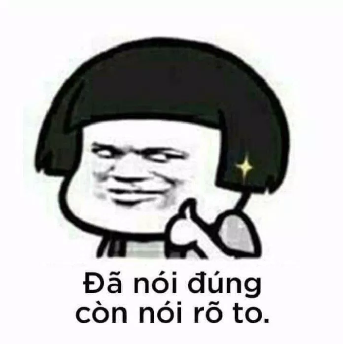Đã nói đúng còn nói to. (Ảnh: Internet)