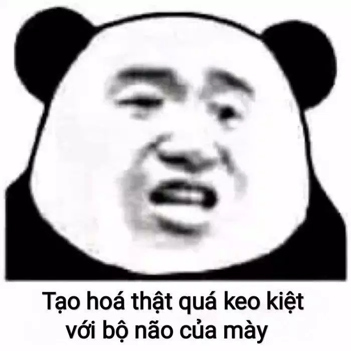 Meme gấu trúc nụ cười dần dần mất hết nhân phẩm khi đu trai đẹp. (Ảnh: Internet)