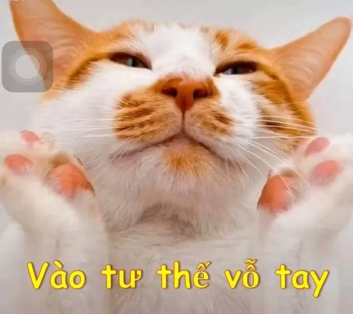 Vào tư thế chuẩn bị vỗ tay. (Ảnh: Internet)