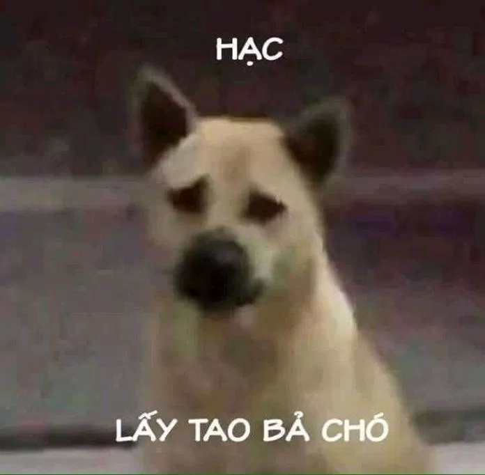 Meme hài hước chế. (Ảnh: Internet)