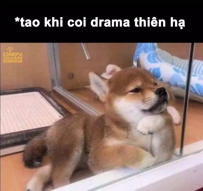 Meme hài hước: Hít hà drama. (Ảnh: Internet)