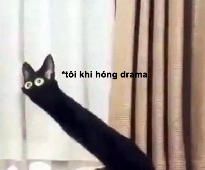Khi hóng drama nhà hàng xóm belike. (Ảnh: Internet)