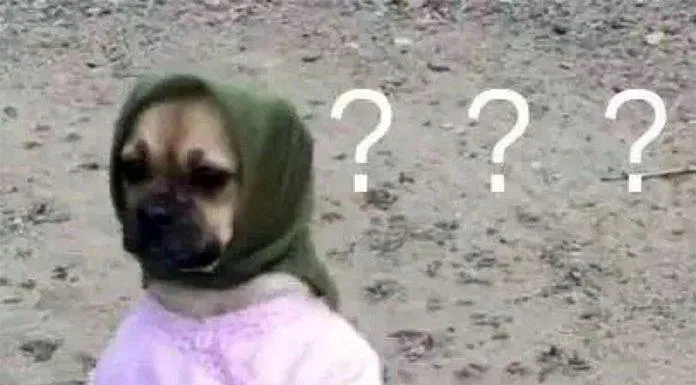 Meme hài hước tao là ai đâu là đây? (Ảnh: Internet) Meme hài hước tao là ai đâu là đây? (Ảnh: Internet)