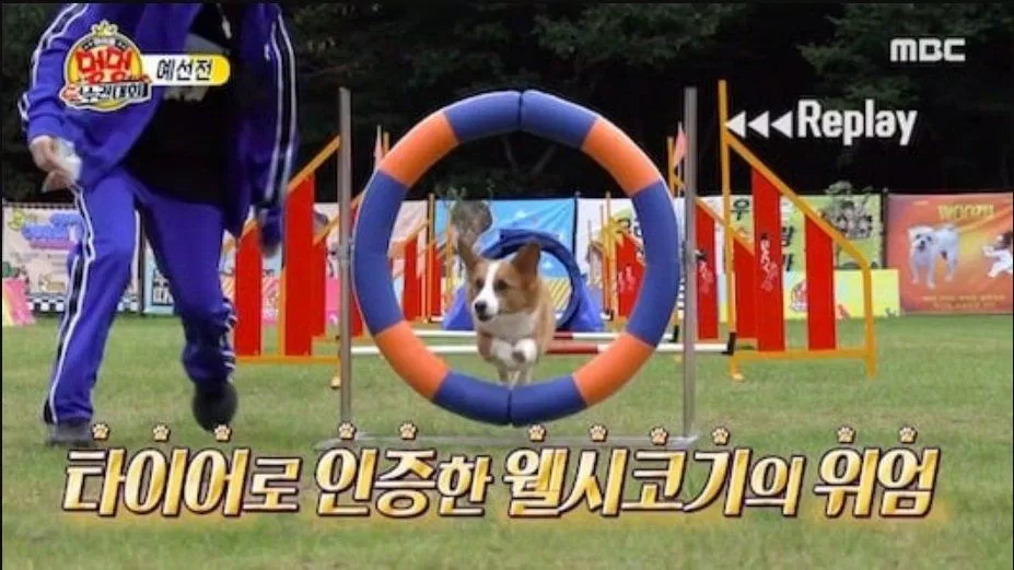 Đội Keongang nhận được 120 điểm với thời gian 10,17 giây (ảnh: internet) Đội Keongang nhận được 120 điểm với thời gian 10,17 giây (ảnh: internet)