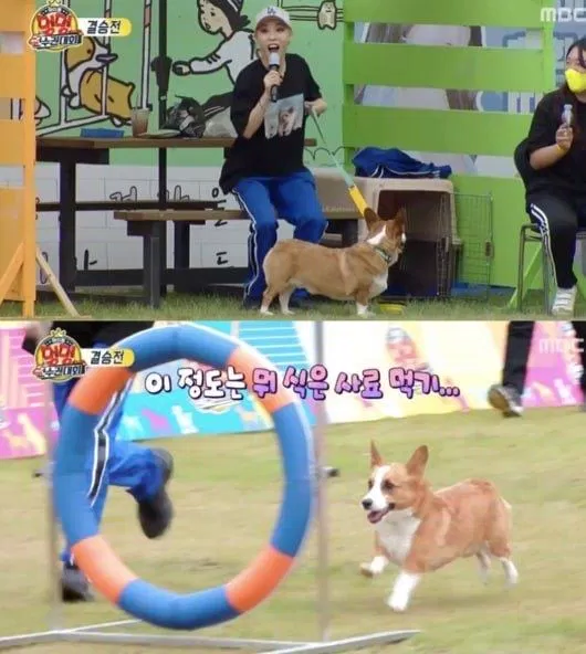 Moonbyul và Keongang giành chiến thắng chung cuộc (ảnh: internet) Moonbyul và Keongang giành chiến thắng chung cuộc (ảnh: internet)