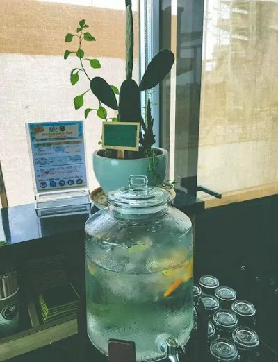 Mách nhỏ 5 quán cà phê có view xinh - nước ổn áp tại Sài Gòn 5 quán cà phê có view xinh cà phê cà phê ngắm máy bay cà phê sân thượng Đà Lạt Đà Lạt thu nhỏ Hạ An Corner Madchen Cafe mùa hè nhà của nắng Phen s Coffee quán cà phê quán cà phê có view xinh quán cà phê ngon Quán cà phê tại Sài Gòn Sài Gòn thông tin thư giãn Wildest Dreams Coffee