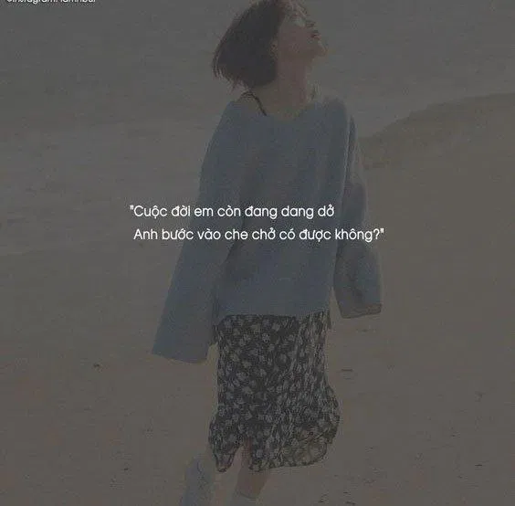 Thơ thả thính hài hước bá đạo. (Ảnh: Internet)