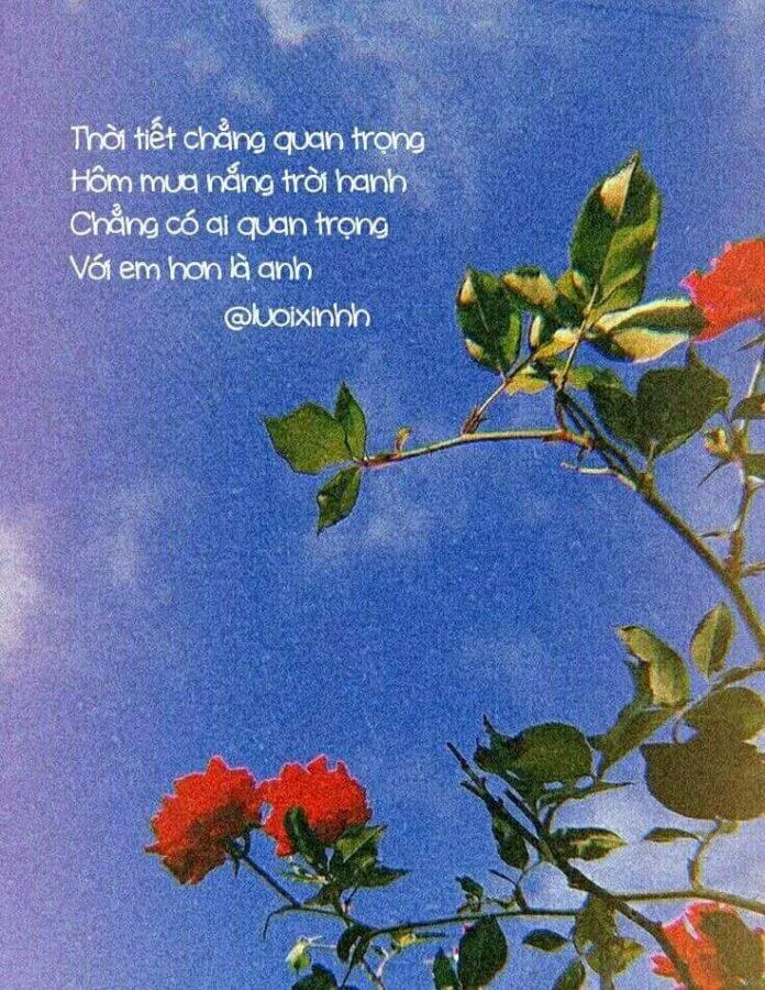 Thơ thả thính cực cute. (Ảnh: Internet)