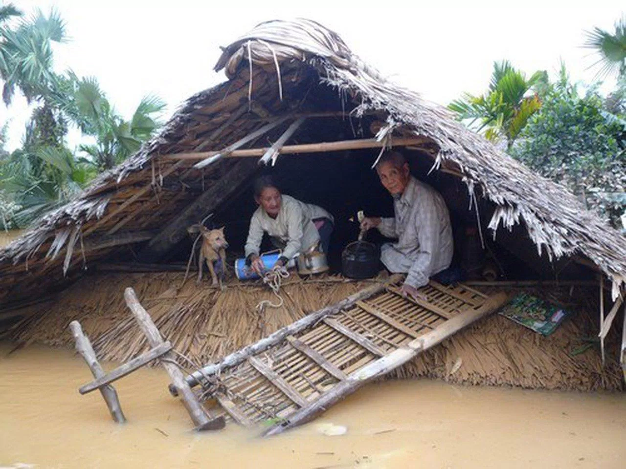 Người dân mất nhà cửa, hoa màu, gia súc, mất cả điện nước, lương thực...(Ảnh: Internet)