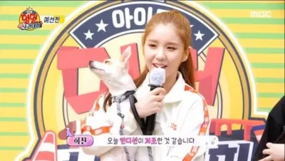 Tori không thể vượt qua chướng ngại vật và bị loại (ảnh: internet) Tori không thể vượt qua chướng ngại vật và bị loại (ảnh: internet)