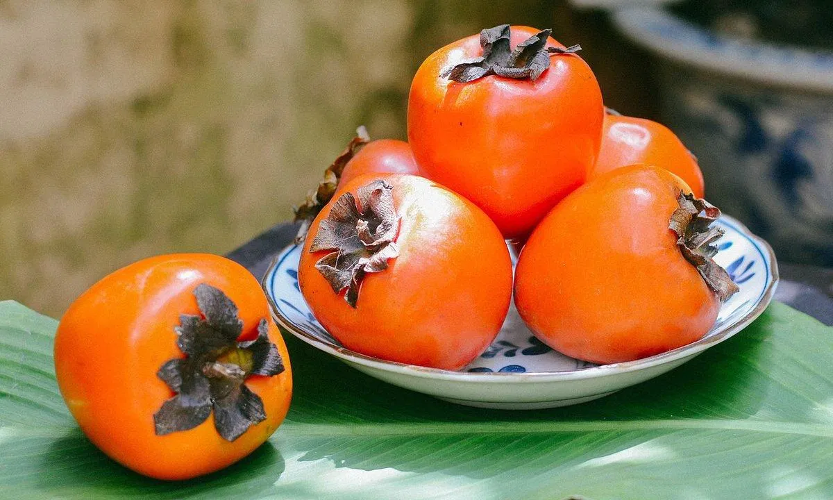 Ăn hồng có thể phòng ngừa nhiều bệnh mãn tính (ảnh: internet)