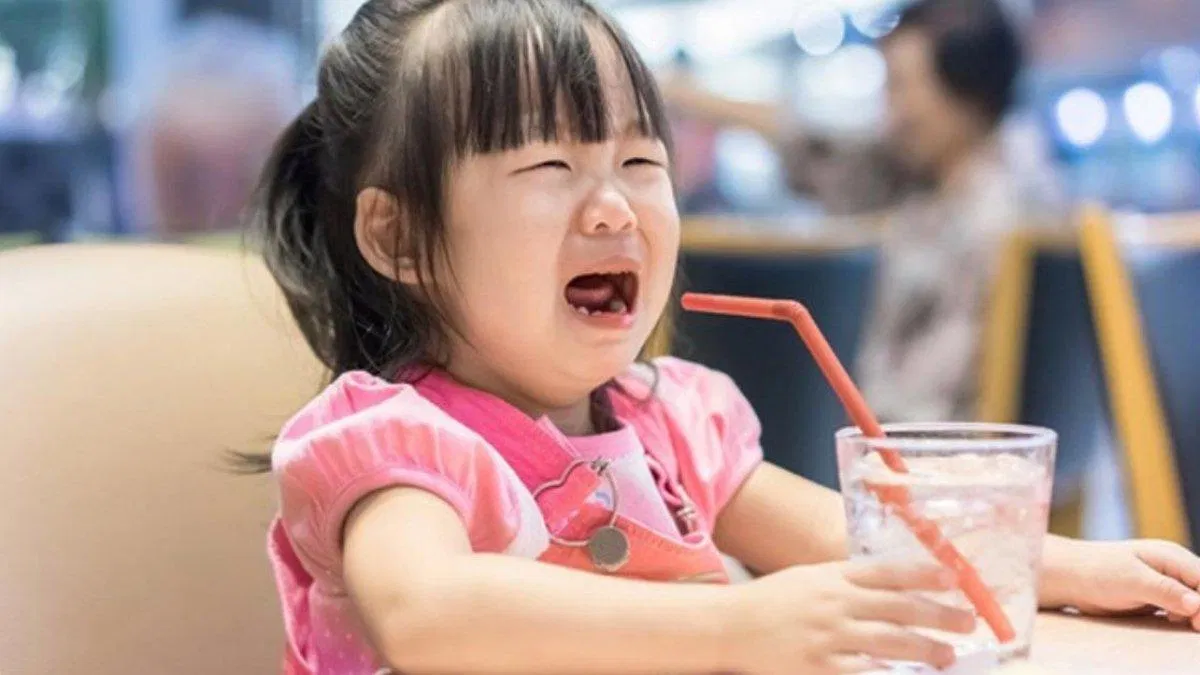 Trẻ con luôn sống thật với cảm xúc của mình ( Nguồn: Internet )