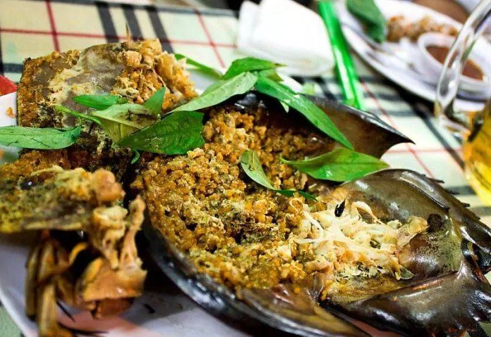 Sam biển - món hải sản độc đáo, hấp dẫn tại Quảng Ninh ( nguồn: Internet )