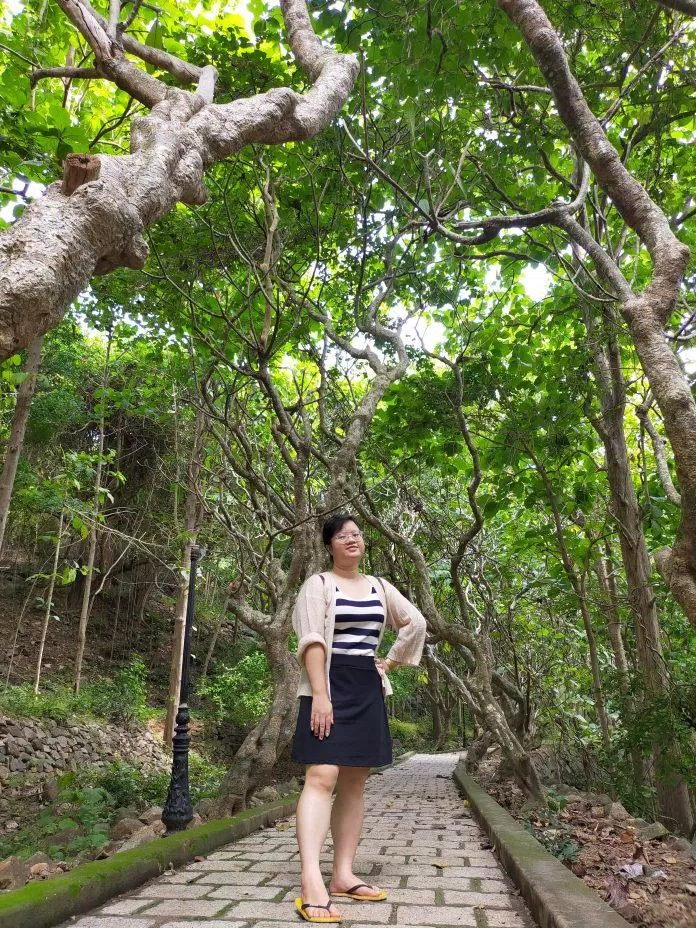 Rừng cây nhỏ quanh Bạch Dinh (ảnh:  TinhVe)