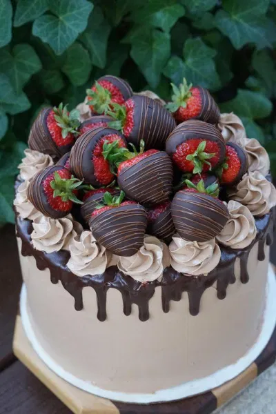 Bánh sinh nhật dâu tây phủ chocolate thật thích (Ảnh: internet) Bánh sinh nhật dâu tây phủ chocolate thật thích (Ảnh: internet)