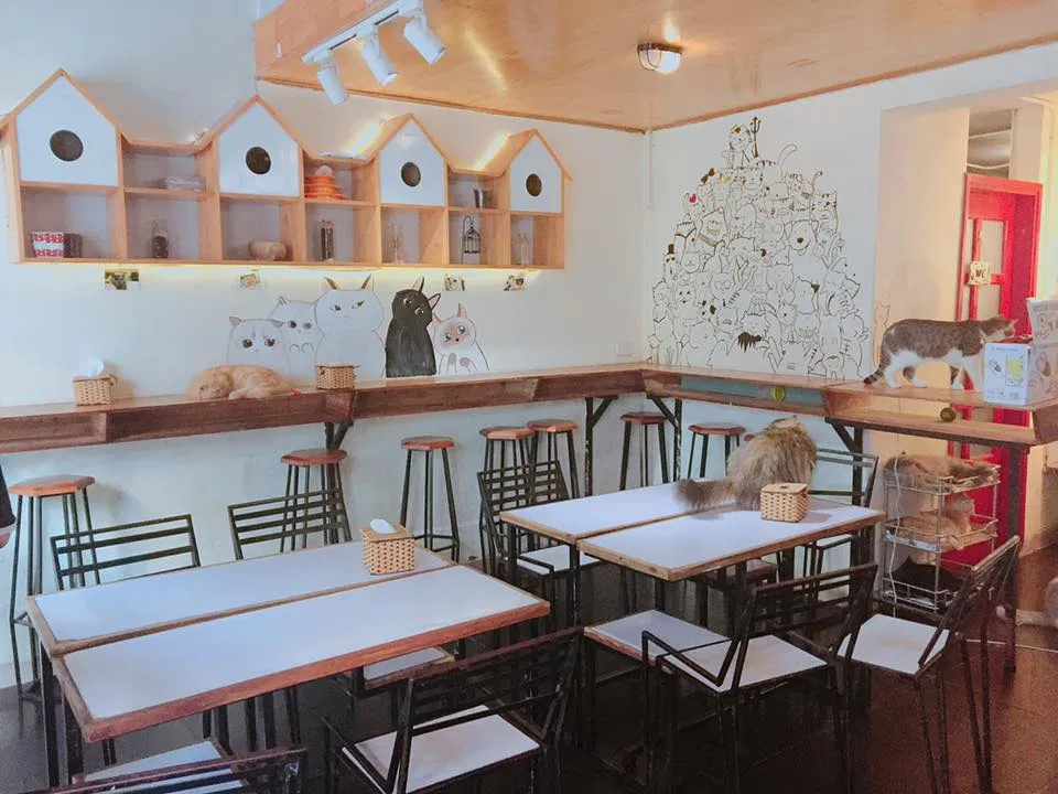 Top 14 quán cafe mèo Hà Nội xinh yêu hết nấc, thiên đường của hội con sen Hà thành Bastet s Home Coffee cà phê cafe mèo cafe mèo hà nội Cafe Mèo Lizzy House Cafe Mèo Mon Cat Life Coffee Cat s House Ga Kafe Hà Nội list List 10 list quán list quán cafe list shop Meo s House Coffee Ngao s Home Nó Coffee nổi bật Pet Island quán cafe quán cafe đẹp quán cafe mèo hà nội Quán Kẻ Cót quán ngon quán ngon Hà Nội sản phẩm sống ảo Suỵt Kafe Sweet Rose Coffee The Shelter Café thiên đường thông tin top quán ngon