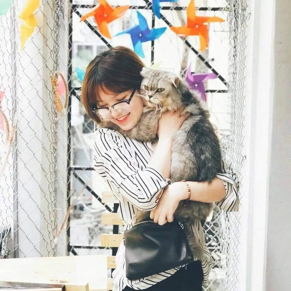 Top 14 quán cafe mèo Hà Nội xinh yêu hết nấc, thiên đường của hội con sen Hà thành Bastet s Home Coffee cà phê cafe mèo cafe mèo hà nội Cafe Mèo Lizzy House Cafe Mèo Mon Cat Life Coffee Cat s House Ga Kafe Hà Nội list List 10 list quán list quán cafe list shop Meo s House Coffee Ngao s Home Nó Coffee nổi bật Pet Island quán cafe quán cafe đẹp quán cafe mèo hà nội Quán Kẻ Cót quán ngon quán ngon Hà Nội sản phẩm sống ảo Suỵt Kafe Sweet Rose Coffee The Shelter Café thiên đường thông tin top quán ngon