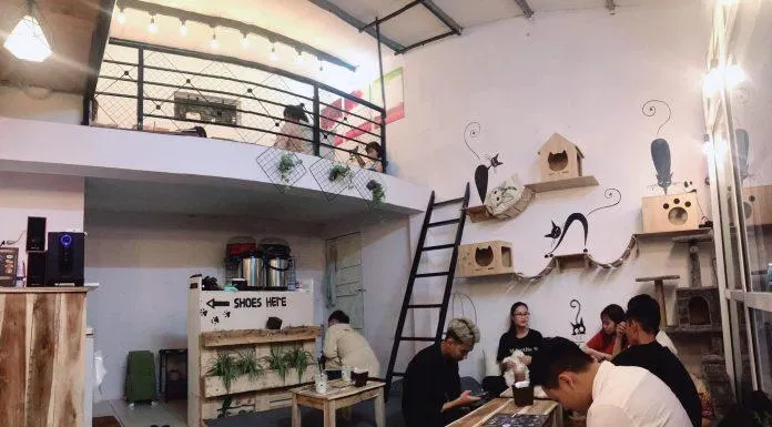 Top 14 quán cafe mèo Hà Nội xinh yêu hết nấc, thiên đường của hội con sen Hà thành Bastet s Home Coffee cà phê cafe mèo cafe mèo hà nội Cafe Mèo Lizzy House Cafe Mèo Mon Cat Life Coffee Cat s House Ga Kafe Hà Nội list List 10 list quán list quán cafe list shop Meo s House Coffee Ngao s Home Nó Coffee nổi bật Pet Island quán cafe quán cafe đẹp quán cafe mèo hà nội Quán Kẻ Cót quán ngon quán ngon Hà Nội sản phẩm sống ảo Suỵt Kafe Sweet Rose Coffee The Shelter Café thiên đường thông tin top quán ngon