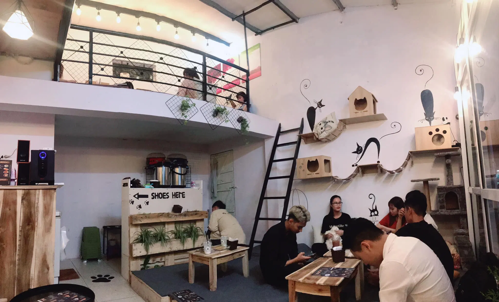 Top 14 quán cafe mèo Hà Nội xinh yêu hết nấc, thiên đường của hội con sen Hà thành Bastet s Home Coffee cà phê cafe mèo cafe mèo hà nội Cafe Mèo Lizzy House Cafe Mèo Mon Cat Life Coffee Cat s House Ga Kafe Hà Nội list List 10 list quán list quán cafe list shop Meo s House Coffee Ngao s Home Nó Coffee nổi bật Pet Island quán cafe quán cafe đẹp quán cafe mèo hà nội Quán Kẻ Cót quán ngon quán ngon Hà Nội sản phẩm sống ảo Suỵt Kafe Sweet Rose Coffee The Shelter Café thiên đường thông tin top quán ngon