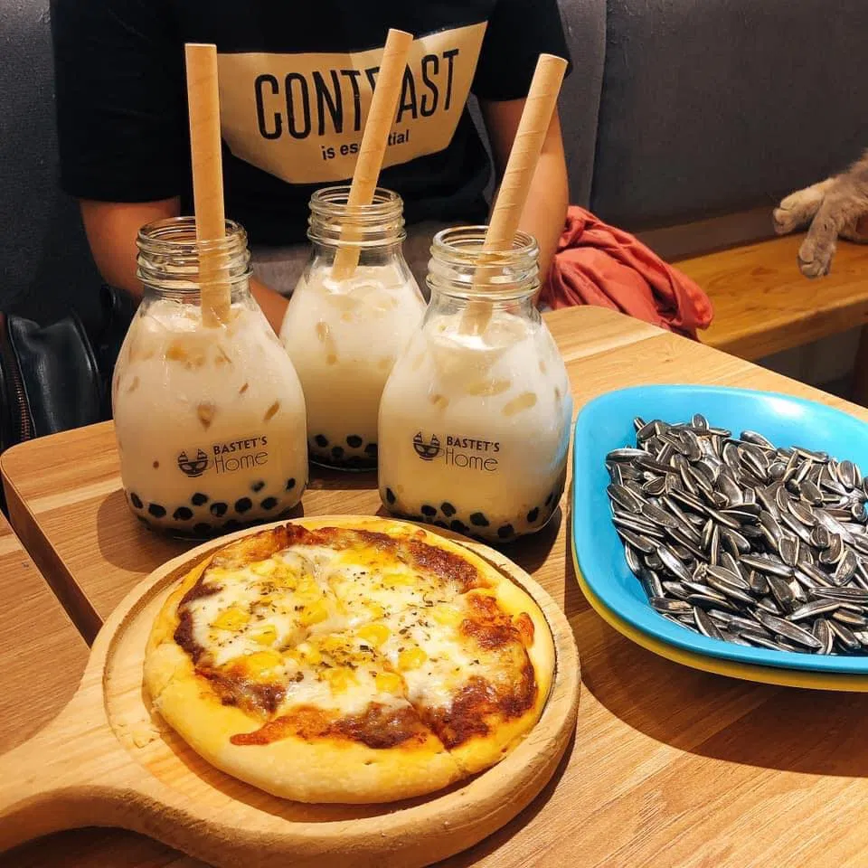 Top 14 quán cafe mèo Hà Nội xinh yêu hết nấc, thiên đường của hội con sen Hà thành Bastet s Home Coffee cà phê cafe mèo cafe mèo hà nội Cafe Mèo Lizzy House Cafe Mèo Mon Cat Life Coffee Cat s House Ga Kafe Hà Nội list List 10 list quán list quán cafe list shop Meo s House Coffee Ngao s Home Nó Coffee nổi bật Pet Island quán cafe quán cafe đẹp quán cafe mèo hà nội Quán Kẻ Cót quán ngon quán ngon Hà Nội sản phẩm sống ảo Suỵt Kafe Sweet Rose Coffee The Shelter Café thiên đường thông tin top quán ngon