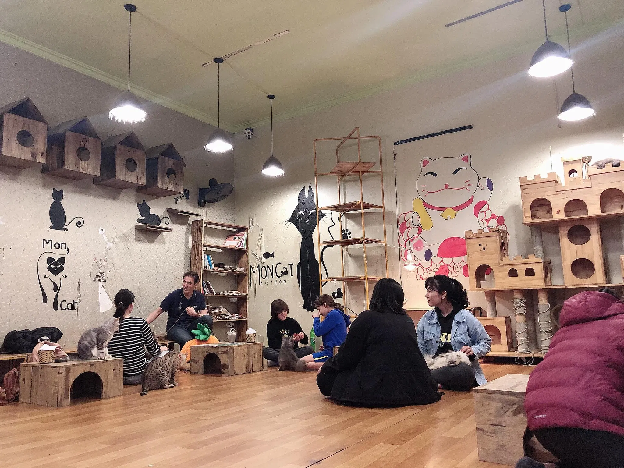 Cafe Mèo Mon - một trong những quán cafe mèo hút khách nhất Hà Nội (Ảnh: Facebook Mon Cat Coffe)