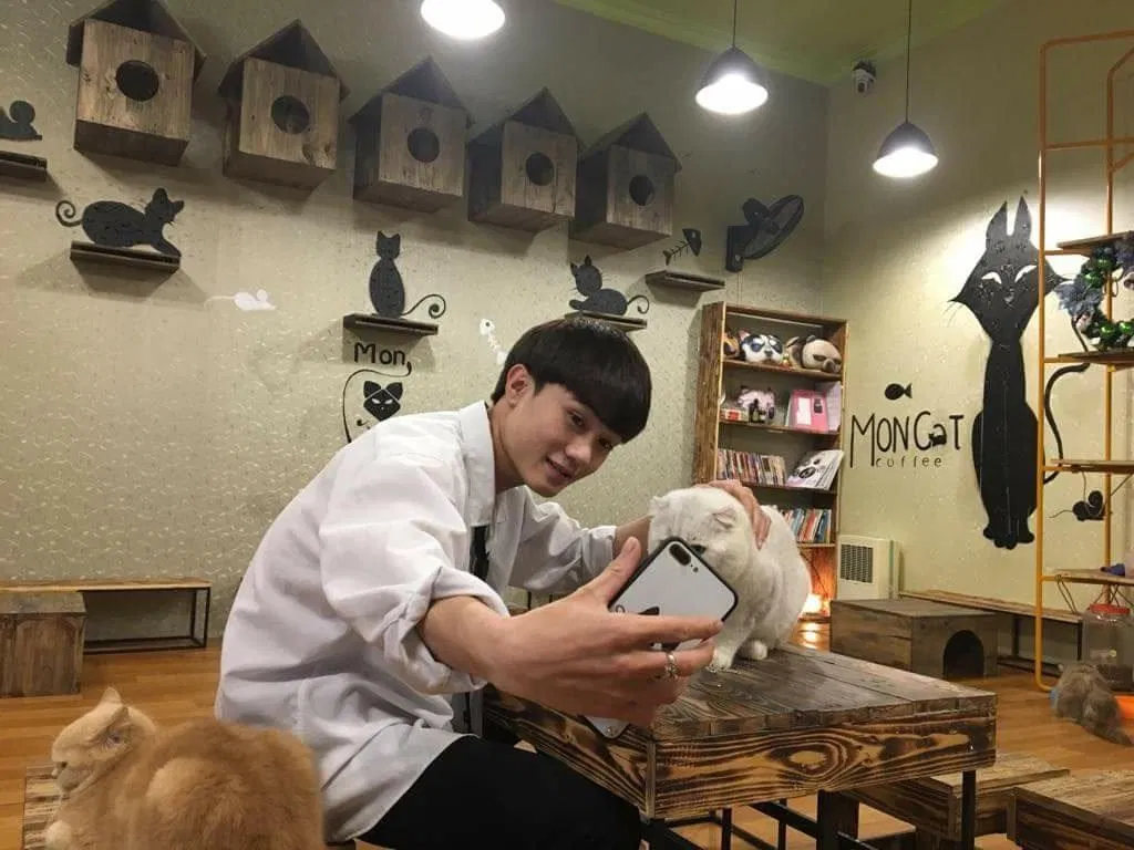 Làm một bức ảnh selfie nào (Ảnh: Facebook Mon Cat Coffe)