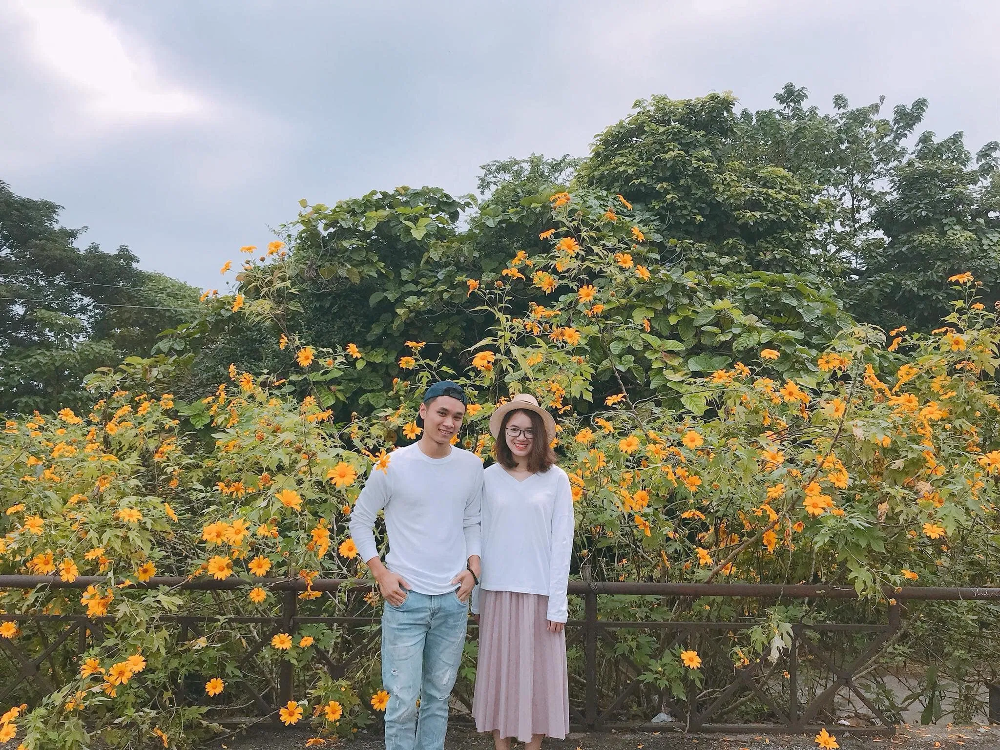 Lưu giữ kỷ niệm Ba Vì cùng hoa Dã Quỳ (Ảnh fb Lỗ Hữu Đức Anh) Lưu giữ kỷ niệm Ba Vì cùng hoa Dã Quỳ (Ảnh fb Lỗ Hữu Đức Anh)