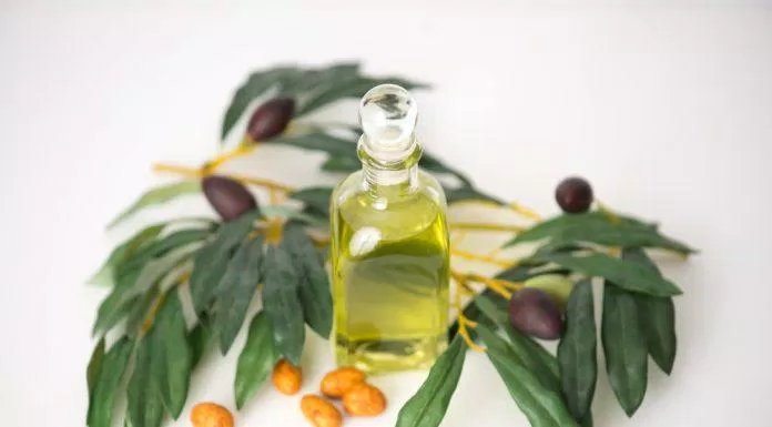 Tinh dầu jojoba (Nguồn: Internet)