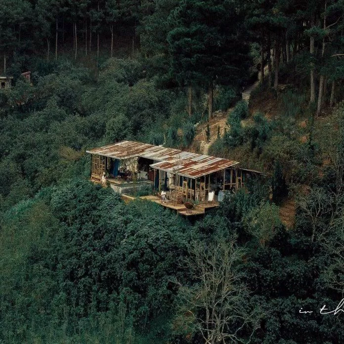 Khung cảnh nên thơ tại In the forest Đà Lạt. Nguồn: Internet Khung cảnh nên thơ tại In the forest Đà Lạt. Nguồn: Internet