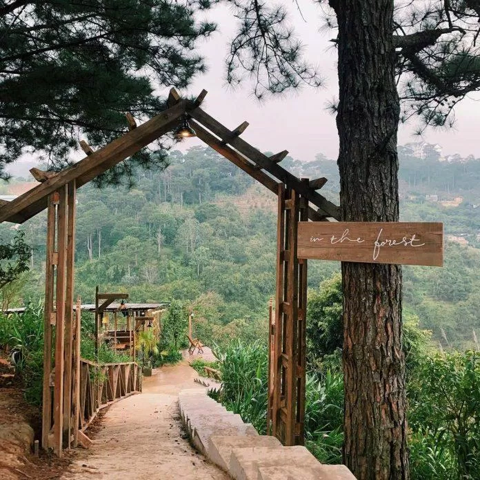 Khung cảnh nên thơ tại In the forest Đà Lạt. Nguồn: Internet
