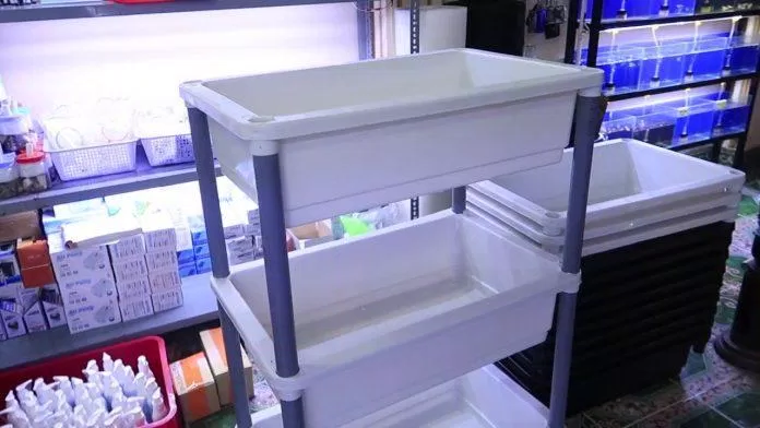 Khay nhựa ba tầng được nhiều người nuôi cá lựa chọn vì tiết kiệm diện tích (Ảnh: Internet). Khay nhựa ba tầng được nhiều người nuôi cá lựa chọn vì tiết kiệm diện tích (Ảnh: Internet).