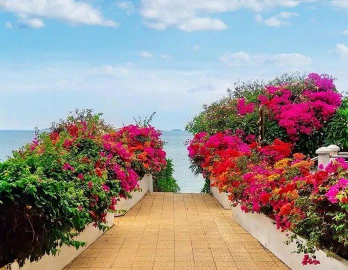 Khung cảnh của Léman Cap Resort & Spa (Ảnh Internet) Khung cảnh của Léman Cap Resort & Spa (Ảnh Internet)
