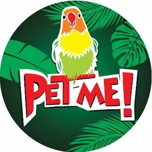 Tiệm cafe thú cưng Pet Me (Ảnh Internet)