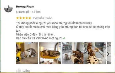 Review CATFE (Ảnh Internet)