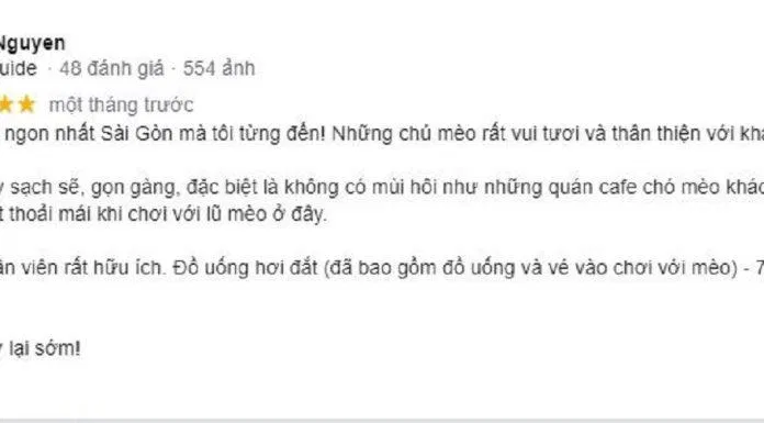 Review CATFE (Ảnh Internet)