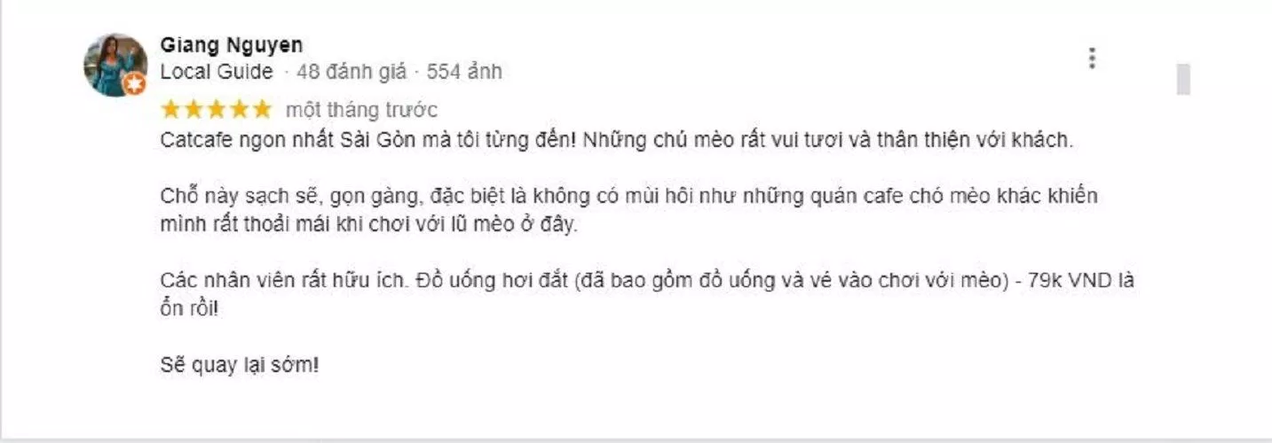 Review CATFE (Ảnh Internet)