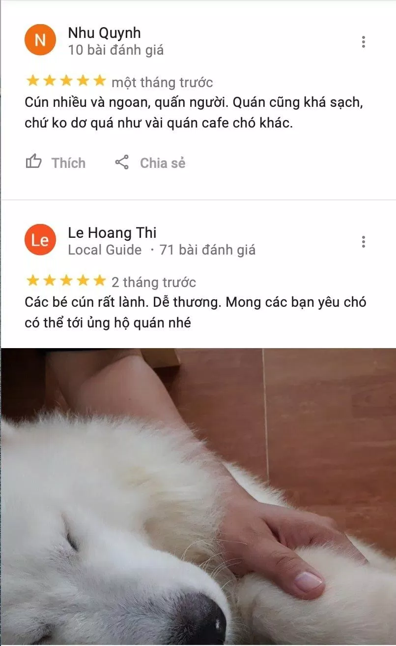 Top 10 quán cafe thú cưng siêu dễ thương & hot nhất tại Sài Gòn Babo Coffee cafe cafe chó cafe chó mèo cafe mèo cafe pet cafe thú cưng Cafe thú cưng Pet Me CATFE dễ thương đánh giá cafe thú cưng Đi đâu Sài Gòn Hachiko Coffee IcarePet Coffee Tea Ken s house Coffee Pet khám phá list List 10 list cafe list quán list quán cafe list shop mèo Pet Pet Coffee Garden Pet Me Coffee Pet Me Shop quán cafe quán cafe mèo quán ngon Review Babo Coffee review cafe thú cưng Review IcarePet Coffee Tea Review Ken s house Coffee Pet Sài Gòn Thành phố Hồ Chí Minh thông tin thú cưng tiệm cafe mèo tiệm cafe mèo CATFE Tiệm cafe thú cưng CATFE Tiệm cafe thú cưng Pet Coffee Garden Tiệm cafe thú cưng Pet Me Ảnh Internet Tiệm cafe thú cưng Tea Pet Top 10 top quán ngon toplist Việt Nam Yuna Alaska Coffee