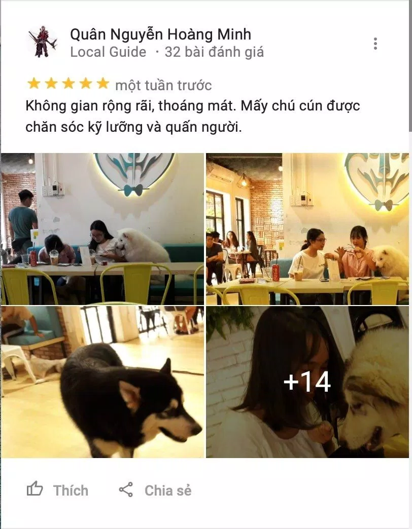 Top 10 quán cafe thú cưng siêu dễ thương & hot nhất tại Sài Gòn Babo Coffee cafe cafe chó cafe chó mèo cafe mèo cafe pet cafe thú cưng Cafe thú cưng Pet Me CATFE dễ thương đánh giá cafe thú cưng Đi đâu Sài Gòn Hachiko Coffee IcarePet Coffee Tea Ken s house Coffee Pet khám phá list List 10 list cafe list quán list quán cafe list shop mèo Pet Pet Coffee Garden Pet Me Coffee Pet Me Shop quán cafe quán cafe mèo quán ngon Review Babo Coffee review cafe thú cưng Review IcarePet Coffee Tea Review Ken s house Coffee Pet Sài Gòn Thành phố Hồ Chí Minh thông tin thú cưng tiệm cafe mèo tiệm cafe mèo CATFE Tiệm cafe thú cưng CATFE Tiệm cafe thú cưng Pet Coffee Garden Tiệm cafe thú cưng Pet Me Ảnh Internet Tiệm cafe thú cưng Tea Pet Top 10 top quán ngon toplist Việt Nam Yuna Alaska Coffee