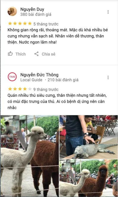 Top 10 quán cafe thú cưng siêu dễ thương & hot nhất tại Sài Gòn Babo Coffee cafe cafe chó cafe chó mèo cafe mèo cafe pet cafe thú cưng Cafe thú cưng Pet Me CATFE dễ thương đánh giá cafe thú cưng Đi đâu Sài Gòn Hachiko Coffee IcarePet Coffee Tea Ken s house Coffee Pet khám phá list List 10 list cafe list quán list quán cafe list shop mèo Pet Pet Coffee Garden Pet Me Coffee Pet Me Shop quán cafe quán cafe mèo quán ngon Review Babo Coffee review cafe thú cưng Review IcarePet Coffee Tea Review Ken s house Coffee Pet Sài Gòn Thành phố Hồ Chí Minh thông tin thú cưng tiệm cafe mèo tiệm cafe mèo CATFE Tiệm cafe thú cưng CATFE Tiệm cafe thú cưng Pet Coffee Garden Tiệm cafe thú cưng Pet Me Ảnh Internet Tiệm cafe thú cưng Tea Pet Top 10 top quán ngon toplist Việt Nam Yuna Alaska Coffee