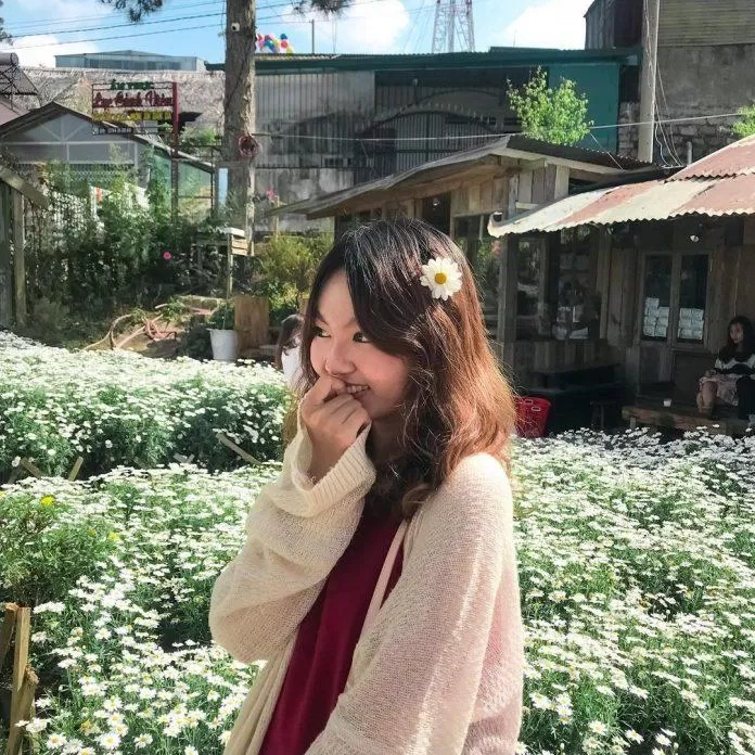 Tiệm cà phê Túi Mơ To - Đà Lạt. Nguồn: Internet Tiệm cà phê Túi Mơ To - Đà Lạt. Nguồn: Internet