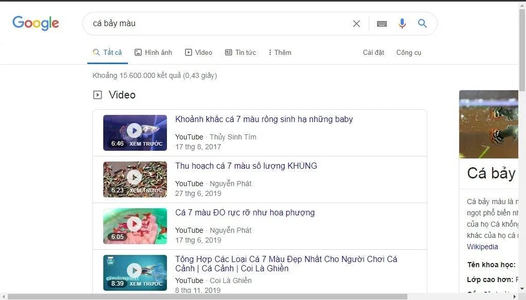 Cá bảy màu được rất nhiều người quan tâm và tạo thành cả một cộng đồng lớn (Ảnh: Internet).