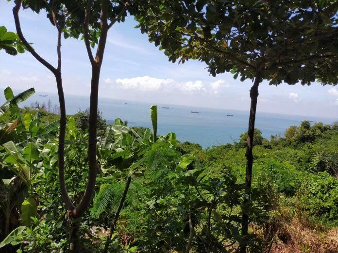 View biển nhìn từ Núi Lớn (ảnh: BlogAnChoi)
