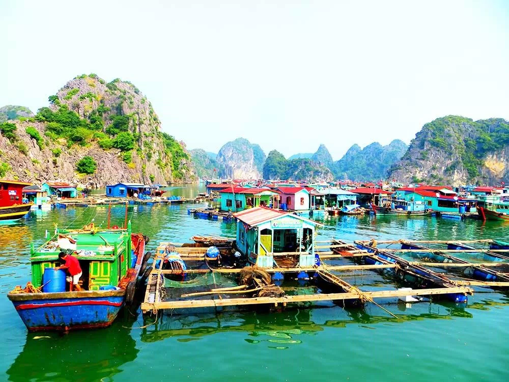 Ba Hang được điểm xuyết bởi những hòn đảo cao vút và hang núi sâu thẳm. (nguồn ảnh: Internet)