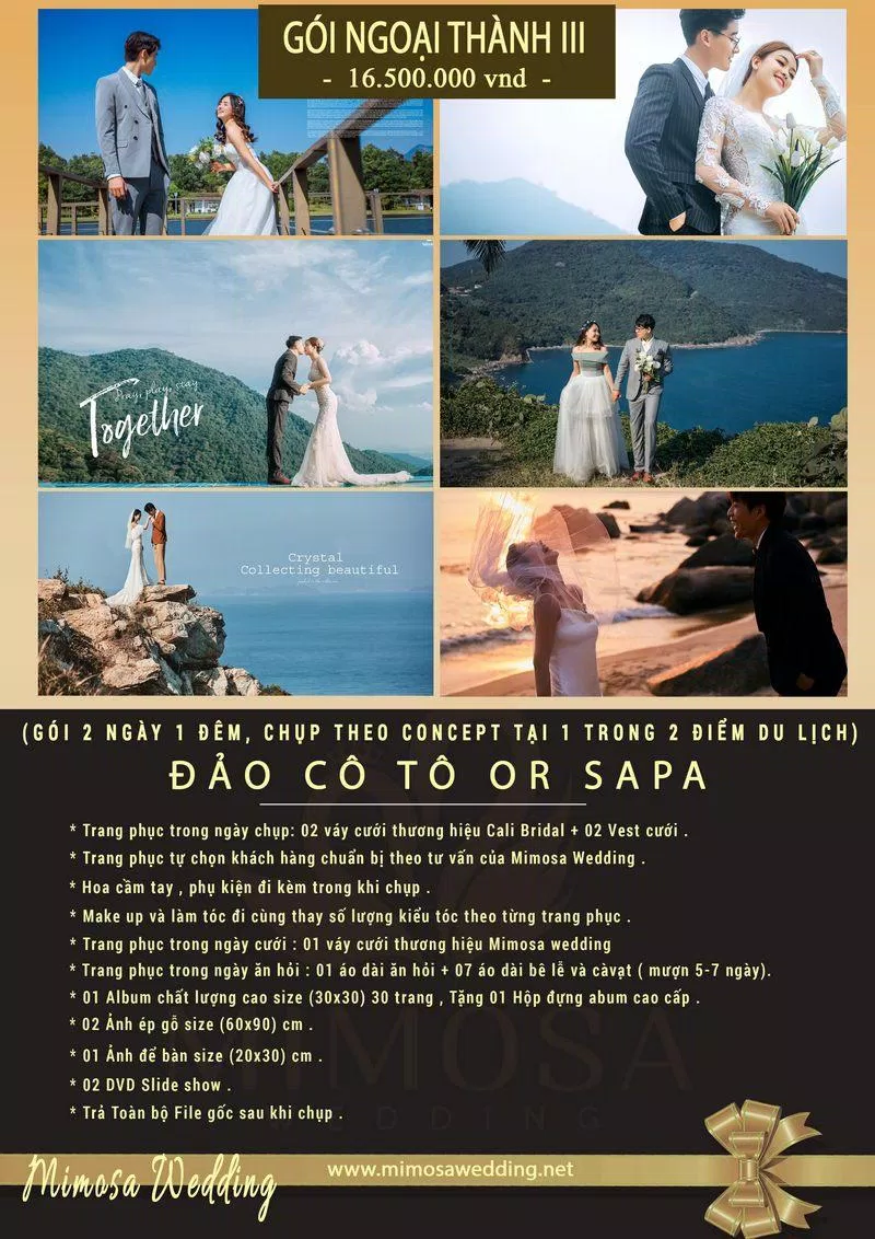 Các gói dịch vụ của Mimosa Wedding Studio (Ảnh Internet) Các gói dịch vụ của Mimosa Wedding Studio (Ảnh Internet)