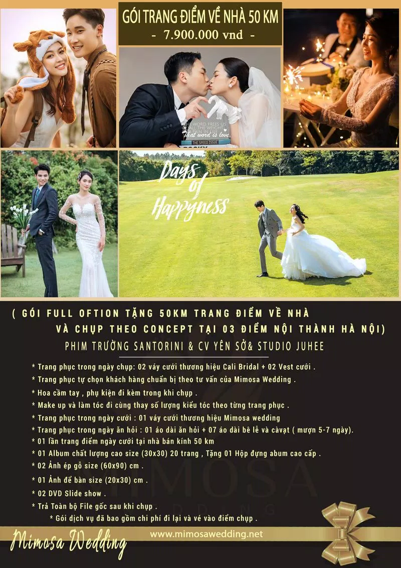 Các gói dịch vụ của Mimosa Wedding Studio (Ảnh Internet)