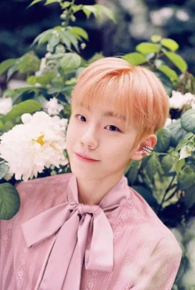 Thành viên Wonjun. (Nguồn: Internet)
