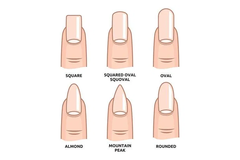 6 dáng móng phổ biến (Nguồn: Internet)