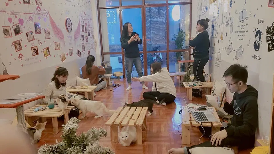 Không gian đông vui bên trong Cat & Life Coffee (Ảnh: Facebook Cat & Life Coffee)