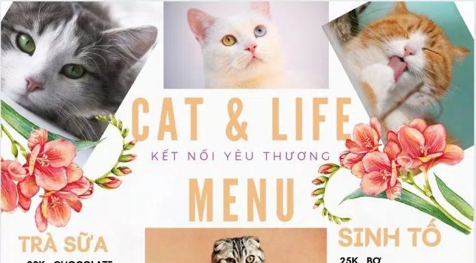Menu của quán (Ảnh: Facebook Cat & Life Coffee)
