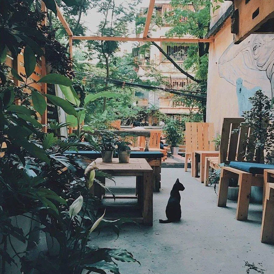 Top 14 quán cafe mèo Hà Nội xinh yêu hết nấc, thiên đường của hội con sen Hà thành Bastet s Home Coffee cà phê cafe mèo cafe mèo hà nội Cafe Mèo Lizzy House Cafe Mèo Mon Cat Life Coffee Cat s House Ga Kafe Hà Nội list List 10 list quán list quán cafe list shop Meo s House Coffee Ngao s Home Nó Coffee nổi bật Pet Island quán cafe quán cafe đẹp quán cafe mèo hà nội Quán Kẻ Cót quán ngon quán ngon Hà Nội sản phẩm sống ảo Suỵt Kafe Sweet Rose Coffee The Shelter Café thiên đường thông tin top quán ngon